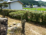 img0009.jpg