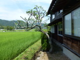 img0010.jpg