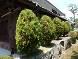 img0012.jpg