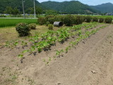 img0014.jpg
