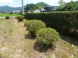 img0016.jpg