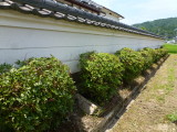 img0017.jpg