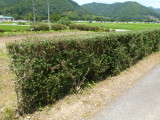 img0018.jpg