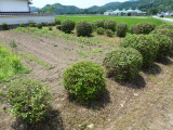 img0019.jpg