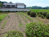 img0020.jpg