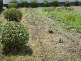 img0022.jpg