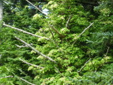 img0022.jpg