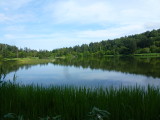 img0031.jpg