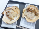 img0034.jpg