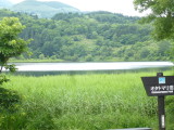 img0037.jpg