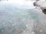 img0049.jpg
