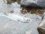 img0052.jpg