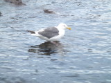 img0053.jpg