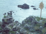 img0058.jpg