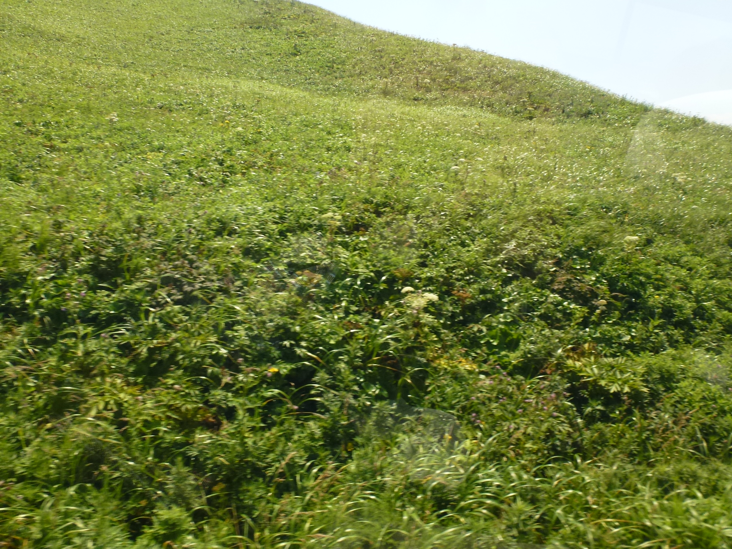 P1120018.JPG