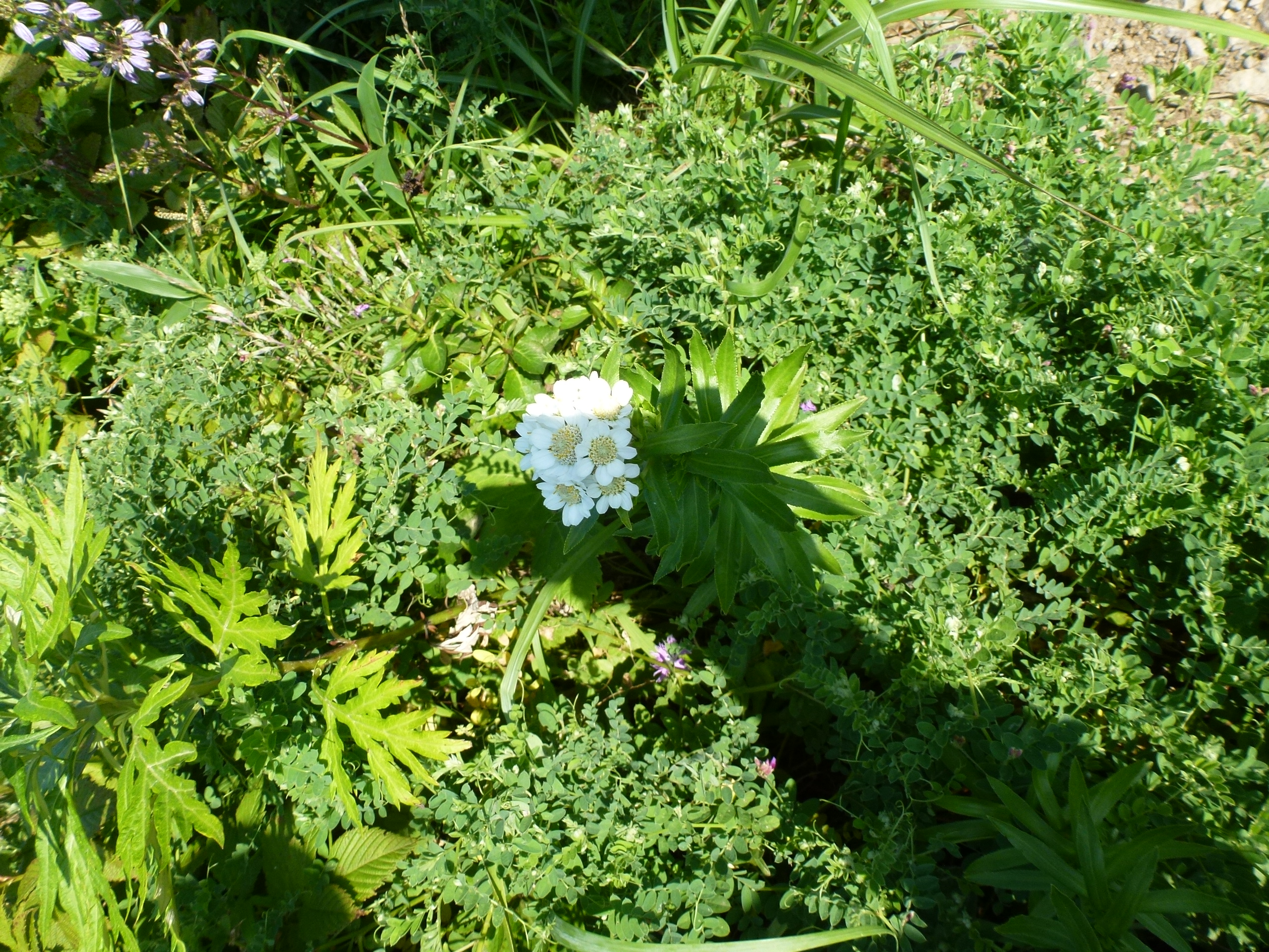 P1120103.JPG