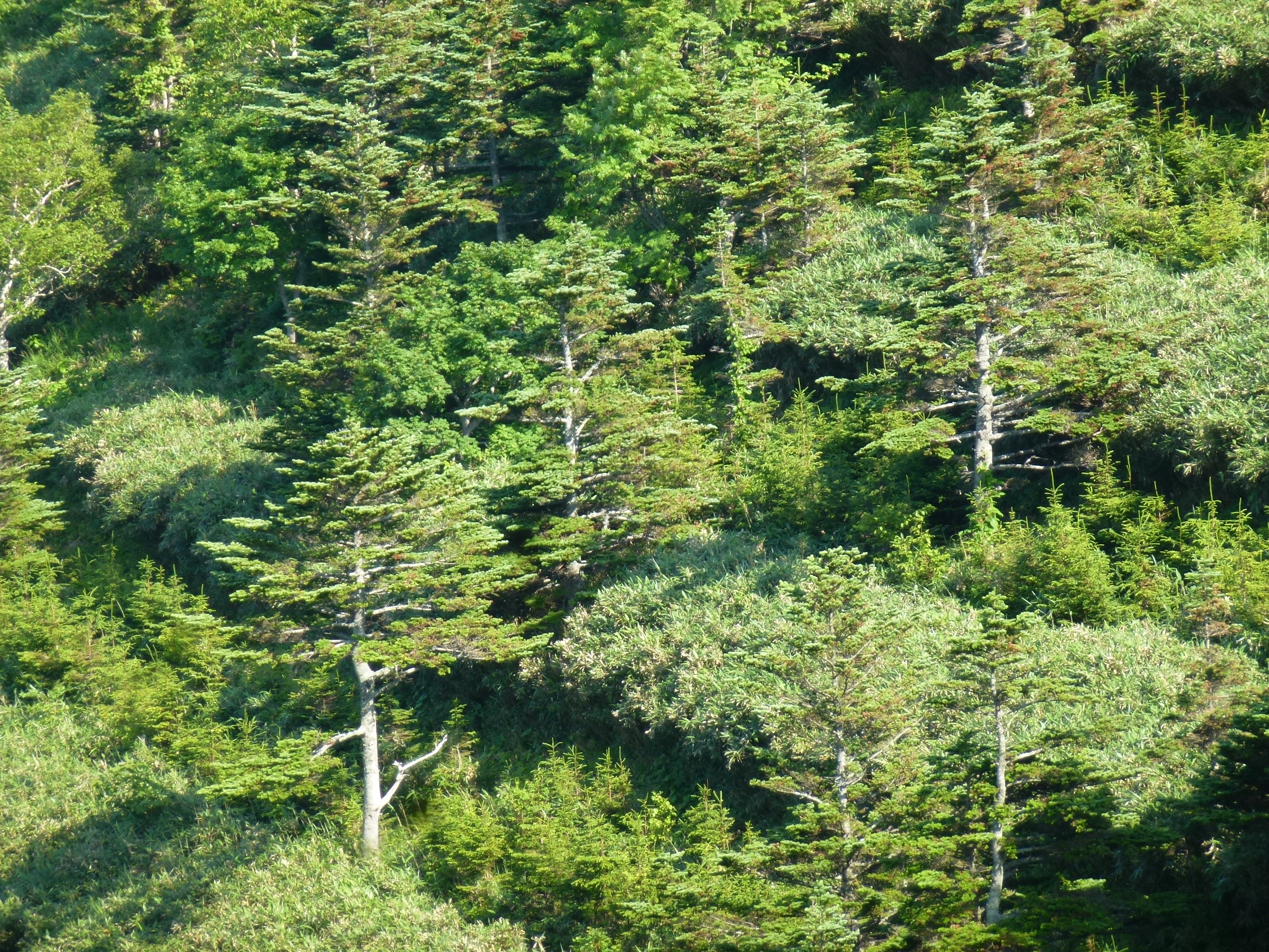 P1120117.JPG