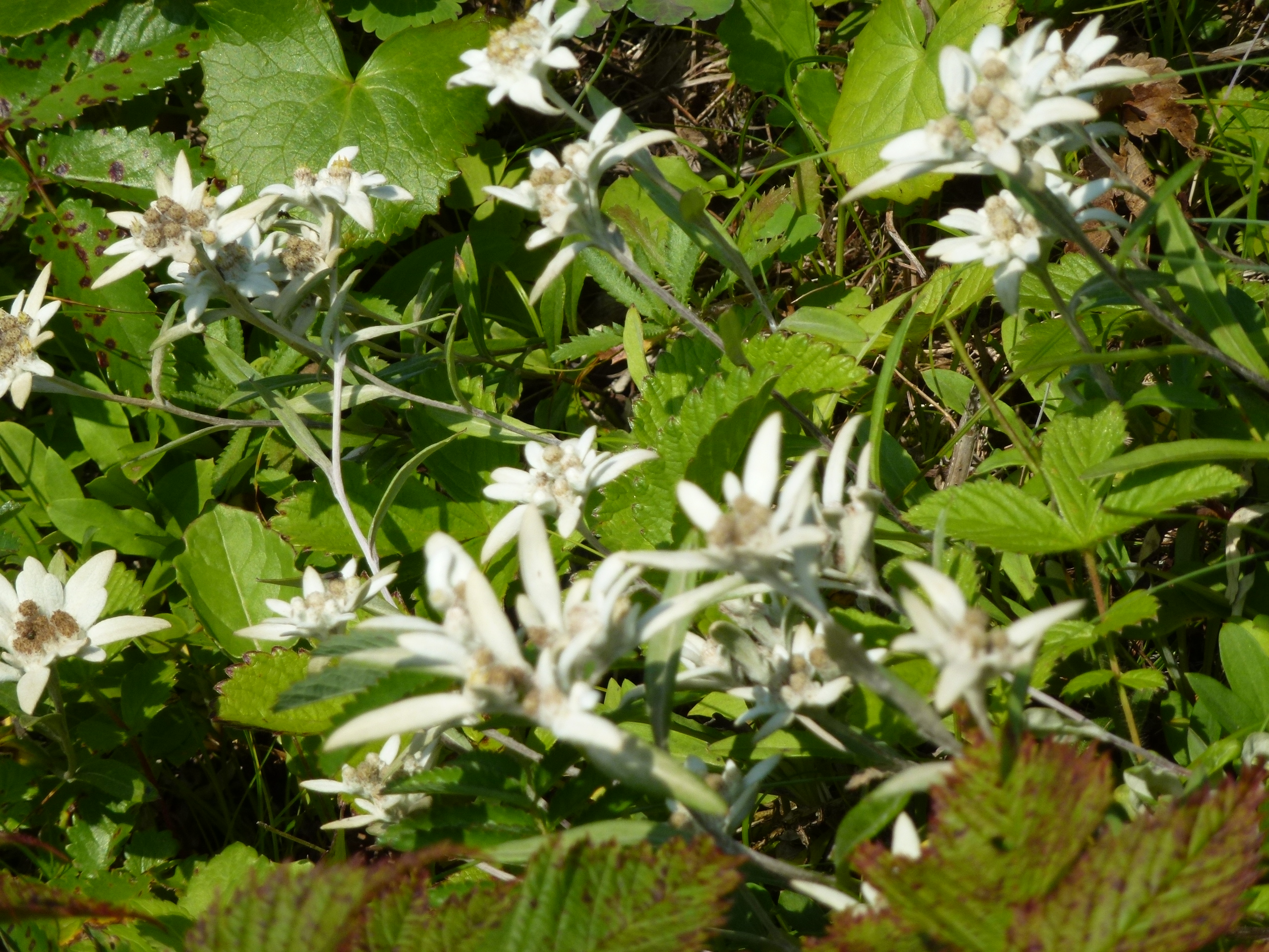 P1120128.JPG