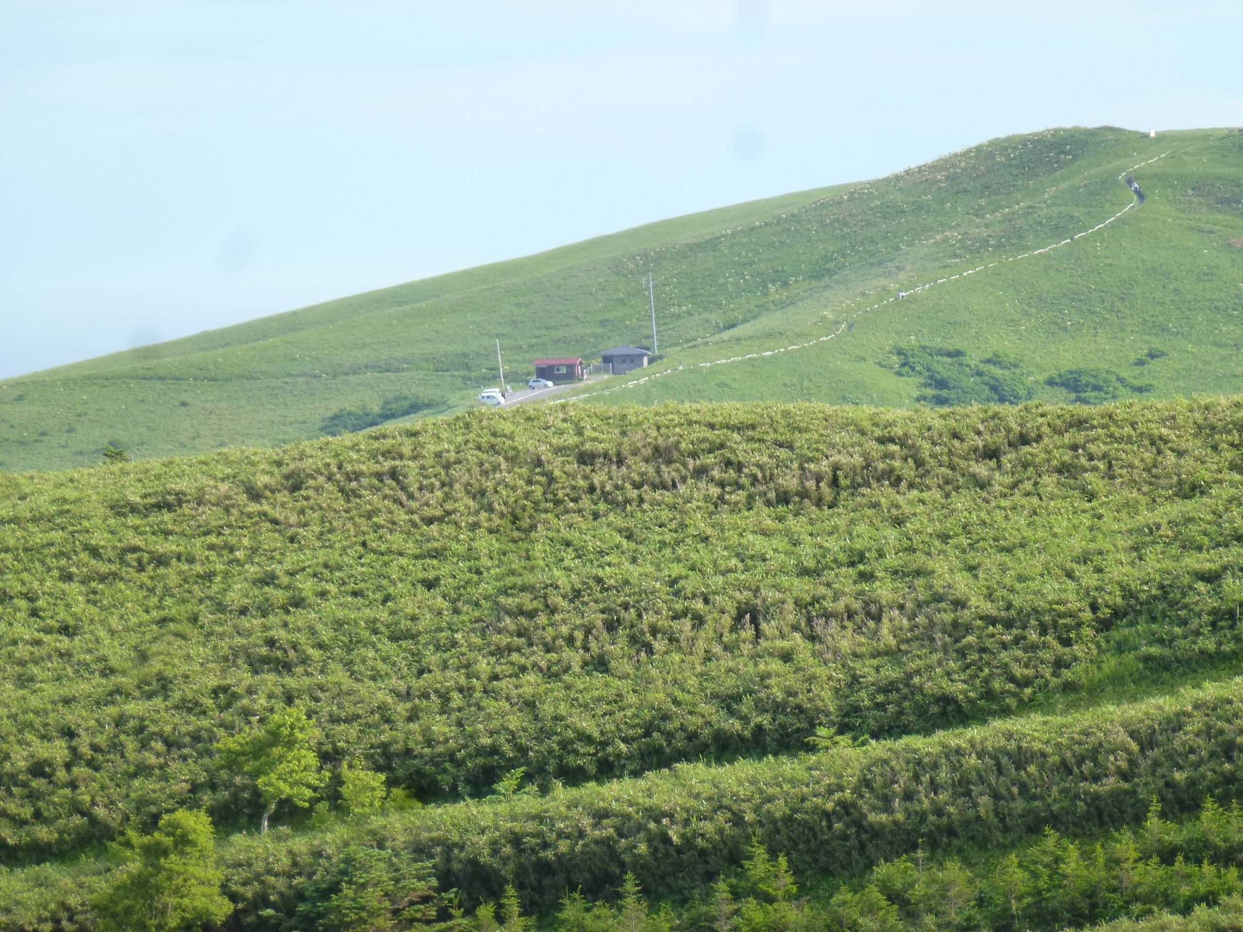 P1120140.JPG