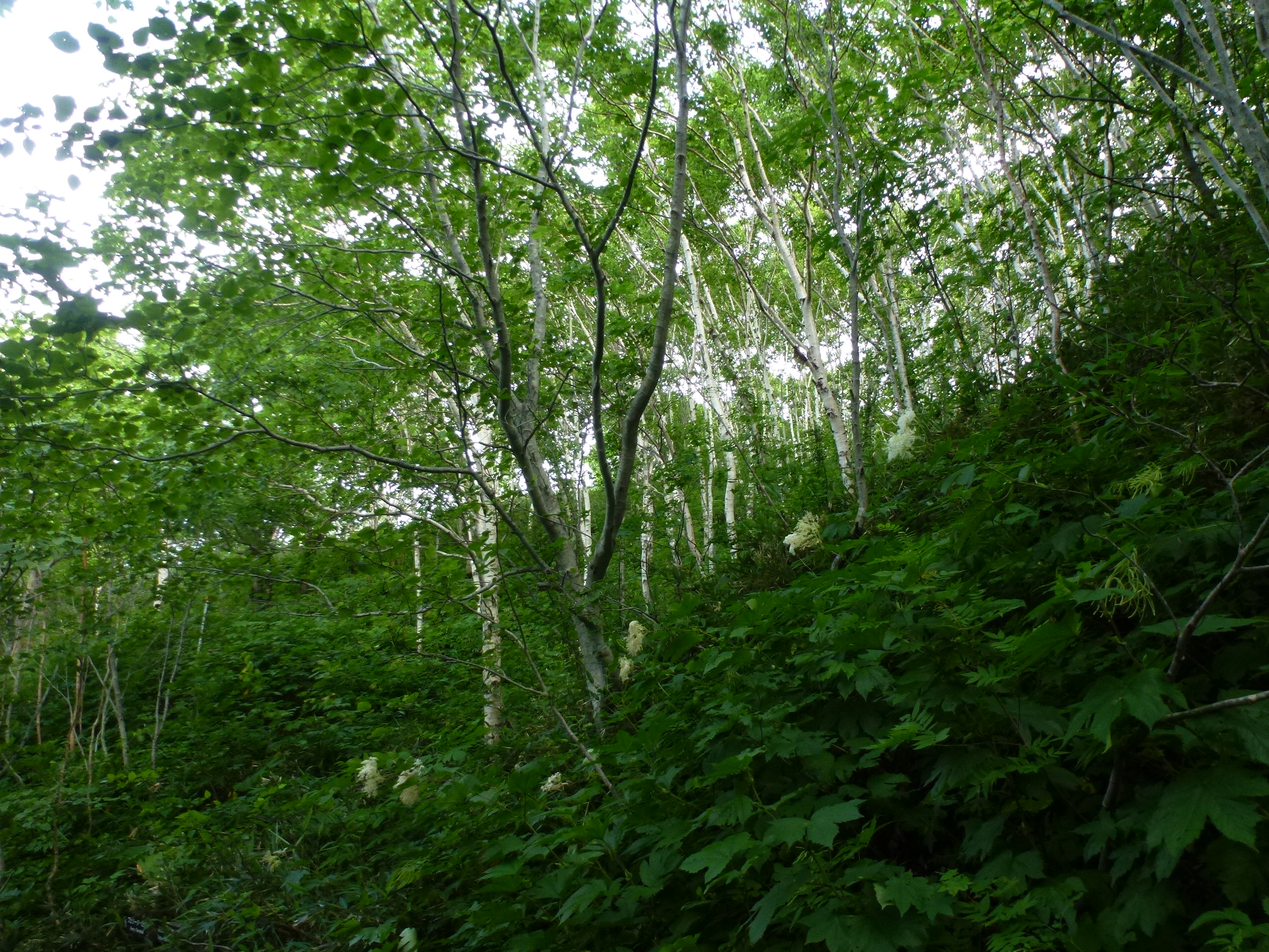 P1120151.JPG