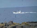 img0022.jpg