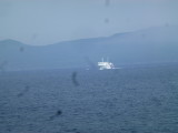 img0029.jpg