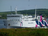 img0031.jpg