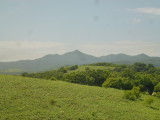 img0047.jpg