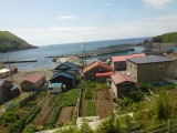 img0051.jpg