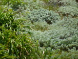 img0056.jpg