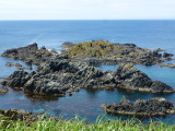 img0068.jpg