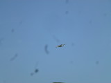 img0073.jpg