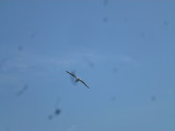 img0075.jpg