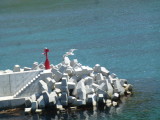img0080.jpg