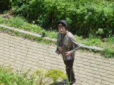 img0081.jpg