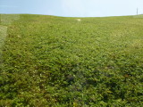 img0104.jpg