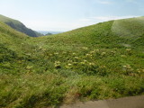 img0107.jpg