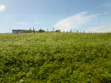 img0110.jpg