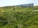img0111.jpg