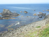 img0122.jpg