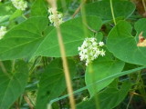 img0143.jpg