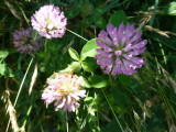 img0144.jpg
