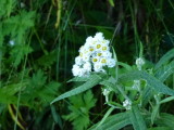 img0146.jpg