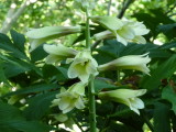 img0148.jpg