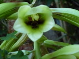 img0149.jpg