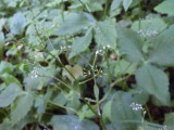 img0151.jpg