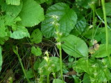 img0153.jpg