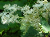 img0156.jpg