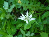 img0159.jpg