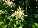 img0165.jpg